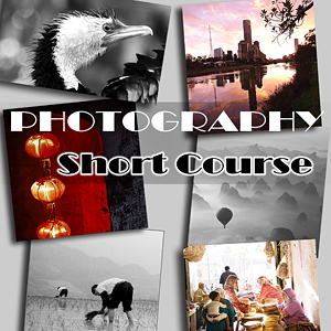 Photography Course near Ballarat