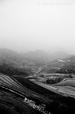 Valley of Unfolding Terraces by David Curelea